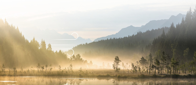 1767754356666251.jpg 2025123225796138712_副本.jpg